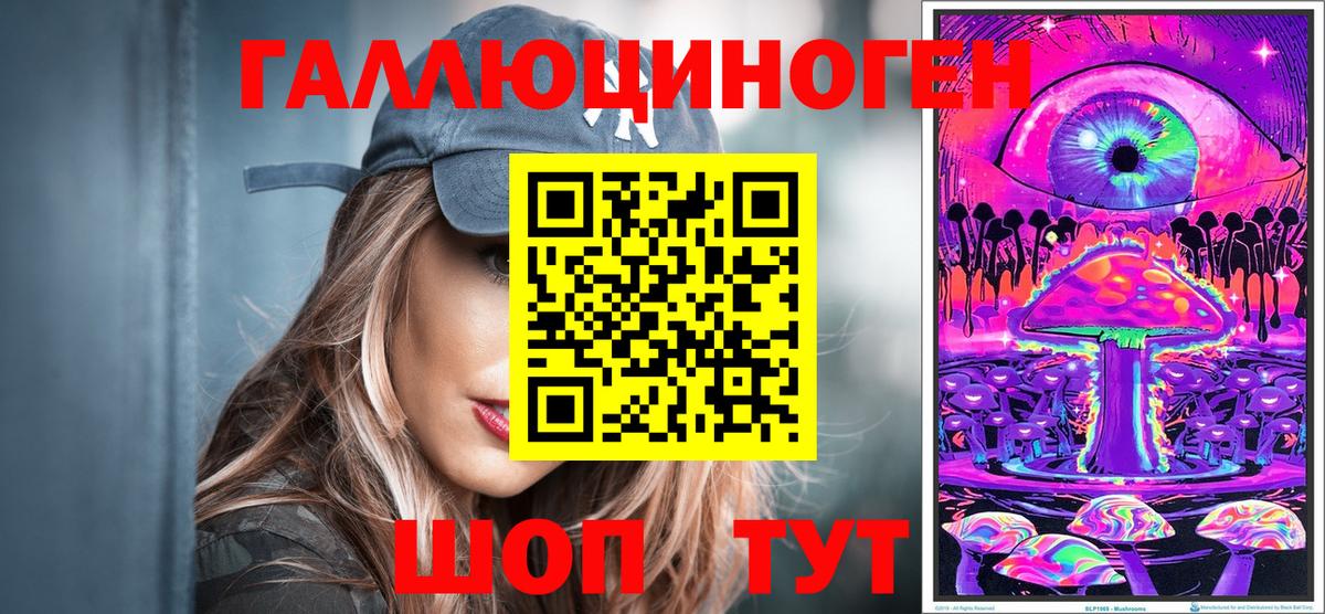 Кизилюрт  Галлюциногенные грибы Psilocybe  Вход с VPN 